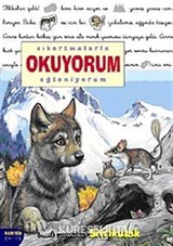 Sivrikulak / Çıkartmalarla Okuyorum Eğleniyorum