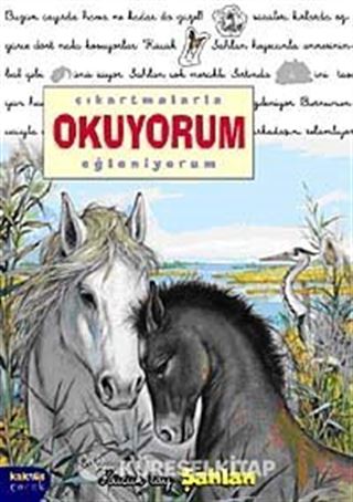 Şahlan / Çıkartmalarla Okuyorum Eğleniyorum