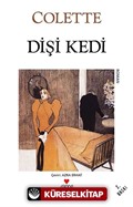 Dişi Kedi