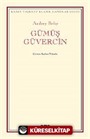 Gümüş Güvercin