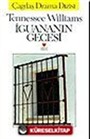 İguana'nın Gecesi