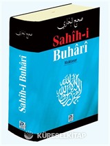 Sahih-i Buhari Muhtasar (şamua)