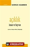 Açıklık