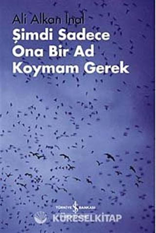 Şimdi Sadece Ona Bir Ad Koymam Gerek