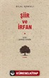 Şiir ve İrfan - Sufi Şairin İzinde