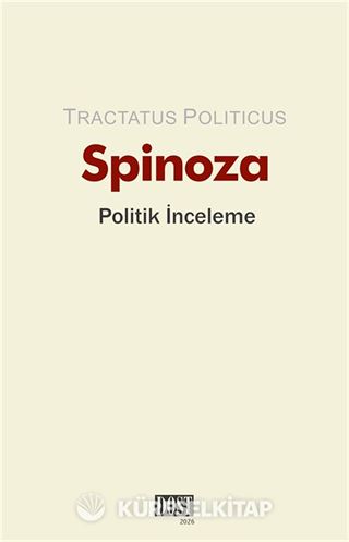 Politik İnceleme