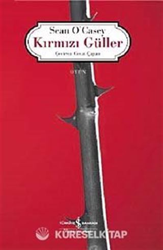 Kırmızı Güller