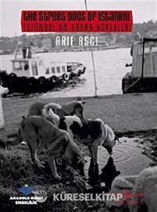 İstanbul'un Sokak Köpekleri