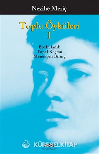 Toplu Öyküler - 1 Nezihe Meriç