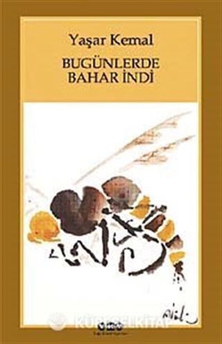 Bugünlerde Bahar İndi (Karton Kapak)