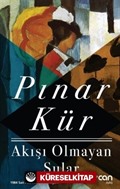 Akışı Olmayan Sular