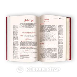 Şualar