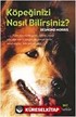 Köpeğinizi Nasıl Bilirsiniz?