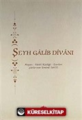 Şeyh Galib Divanı