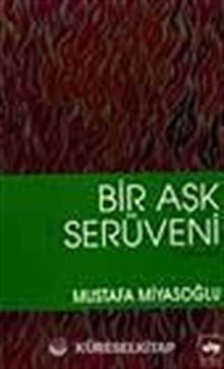 Bir Aşk Serüveni