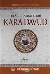 Kara Davud