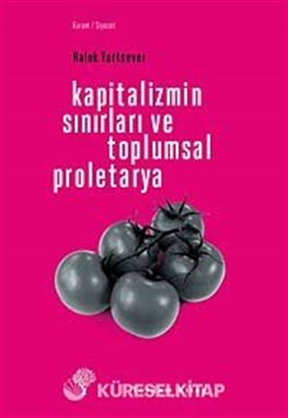 Kapitalizmin Sınırları ve Toplumsal Proletarya