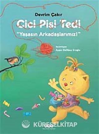 Cici Pisi Tedi