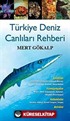 Türkiye Deniz Canlıları Rehberi