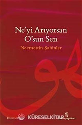 Ne'yi Arıyorsan O'sun Sen