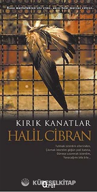 Kırık Kanatlar