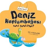 Deniz Kaplumbağası Nasıl Yaratılıyor?