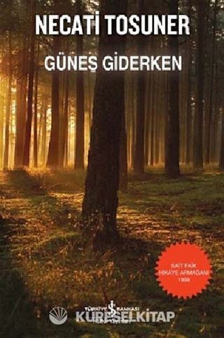 Güneş Giderken