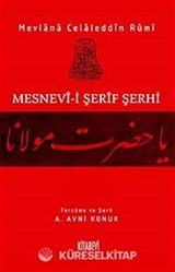 Mesnevi-i Şerif Şerhi 13