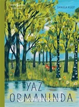Yaz Ormanında
