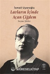 Lavların İçinde Açan Çiğdem