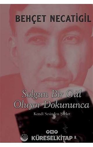 Solgun Bir Gül Oluyor Dokununca