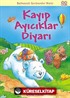 Kayıp Ayıcıklar Diyarı / Bulmacalı Serüvenler Dizisi