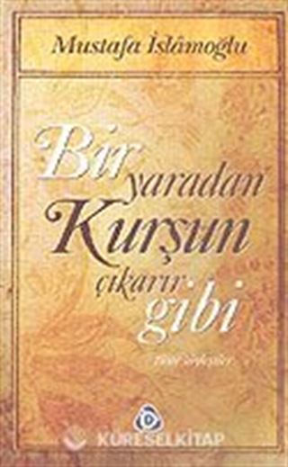 Bir Yaradan Kurşun Çıkarır Gibi / Tüm Söyleşiler