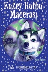 Kuzey Kutbu Macerası