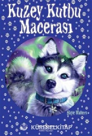Kuzey Kutbu Macerası