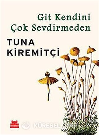 Git Kendini Çok Sevdirmeden