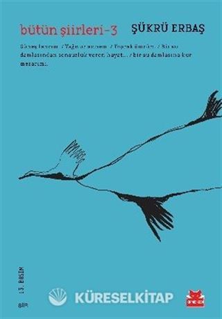 Bütün Şiirleri -3