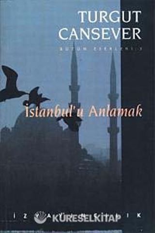 İstanbul'u Anlamak