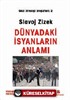 Dünyadaki İsyanların Anlamı / Gezi Direnişi Broşürleri:2