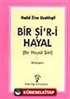 Bir Şi'r-i Hayal