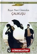 Çalıkuşu (Gençler İçin)