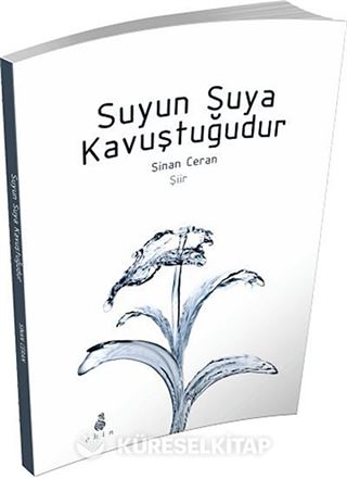 Suyun Suya Kavuştuğudur