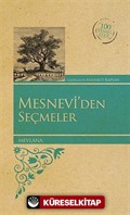 Mesnevi'den Seçmeler (Kenar Boyalı) / 100 Temel Eser