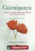 Gümüşsuyu