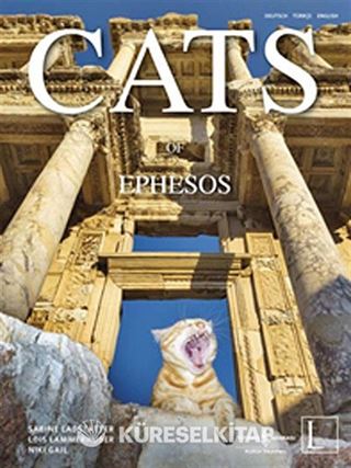 Cats Of Ephesos