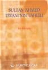 Sultan Ahmed Divanı'nın Tahlili