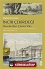 İncir Çekirdeği