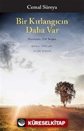 Bir Kırlangıcın Daha Var