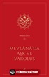 Mevlana'da Aşk ve Varoluş
