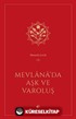 Mevlana'da Aşk ve Varoluş